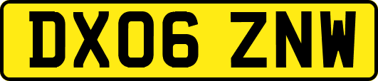 DX06ZNW