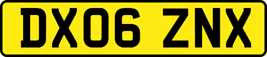 DX06ZNX
