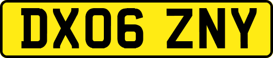 DX06ZNY