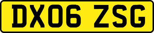 DX06ZSG