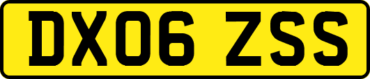 DX06ZSS