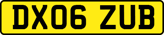 DX06ZUB