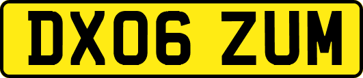 DX06ZUM