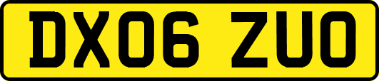 DX06ZUO