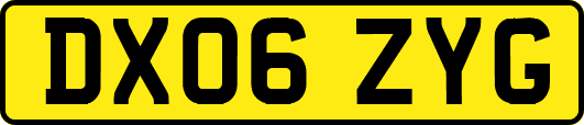 DX06ZYG
