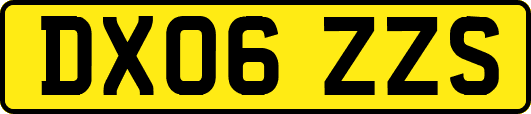 DX06ZZS