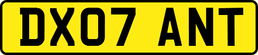 DX07ANT