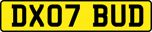 DX07BUD