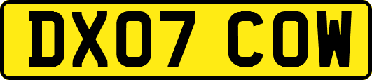 DX07COW