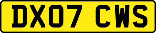 DX07CWS
