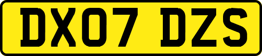 DX07DZS