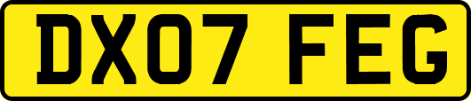 DX07FEG