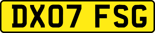 DX07FSG
