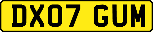 DX07GUM
