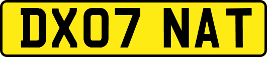 DX07NAT