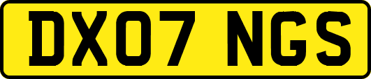 DX07NGS