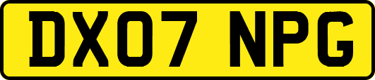 DX07NPG