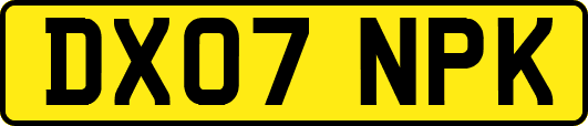 DX07NPK