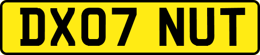 DX07NUT