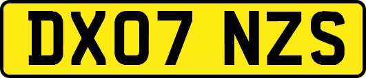 DX07NZS