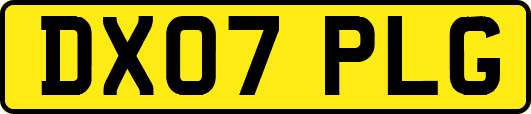 DX07PLG