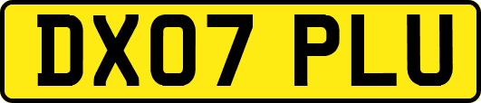 DX07PLU