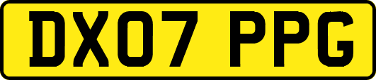 DX07PPG