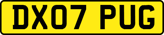 DX07PUG