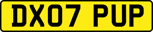 DX07PUP