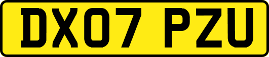 DX07PZU