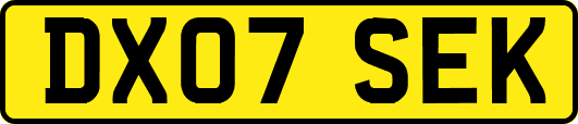 DX07SEK