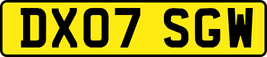 DX07SGW