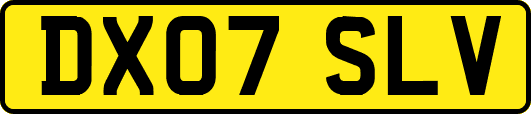 DX07SLV
