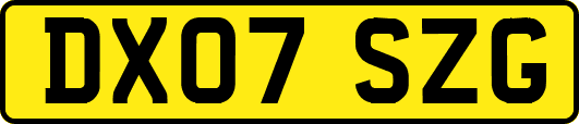 DX07SZG