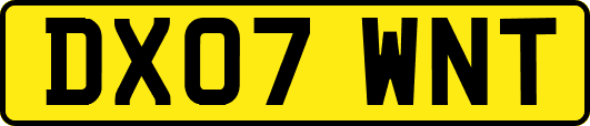 DX07WNT