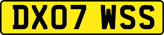 DX07WSS
