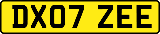 DX07ZEE