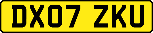 DX07ZKU