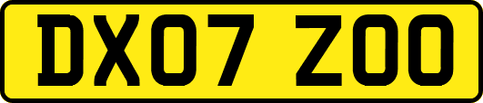 DX07ZOO