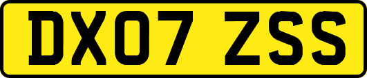 DX07ZSS