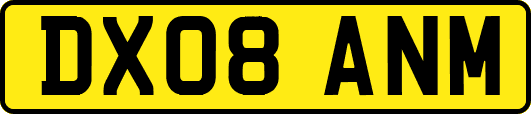 DX08ANM