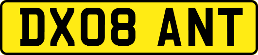 DX08ANT