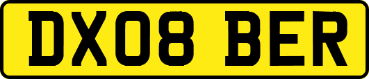 DX08BER