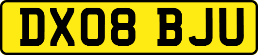 DX08BJU