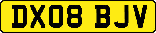 DX08BJV