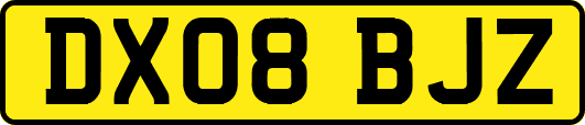 DX08BJZ