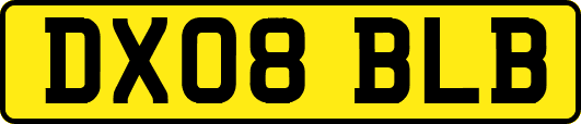 DX08BLB