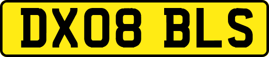 DX08BLS