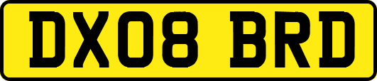 DX08BRD
