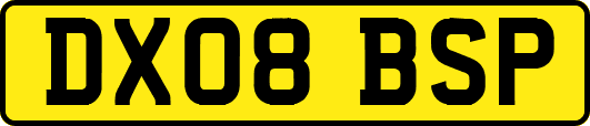 DX08BSP